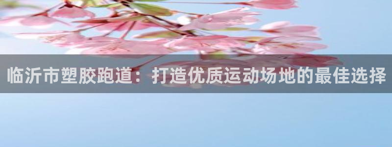 尊龙凯时福米推荐人：临沂市塑胶跑道：打造优质运动场地