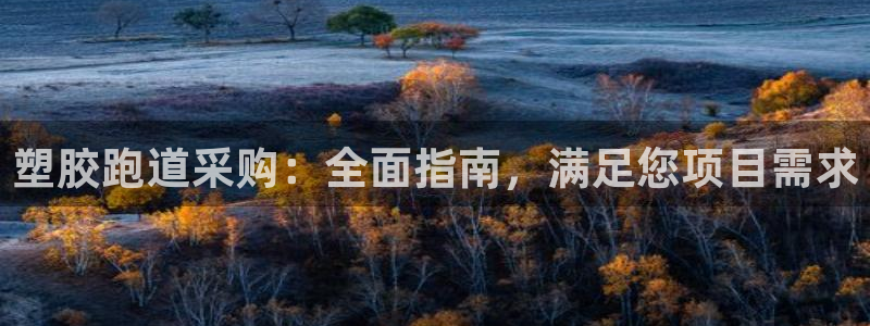 尊龙凯时注册：塑胶跑道采购：全面指南，满足您项目需求