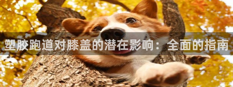 尊龙手机官方客户端下载安卓：塑胶跑道对膝盖的潜在影响：全面的指南