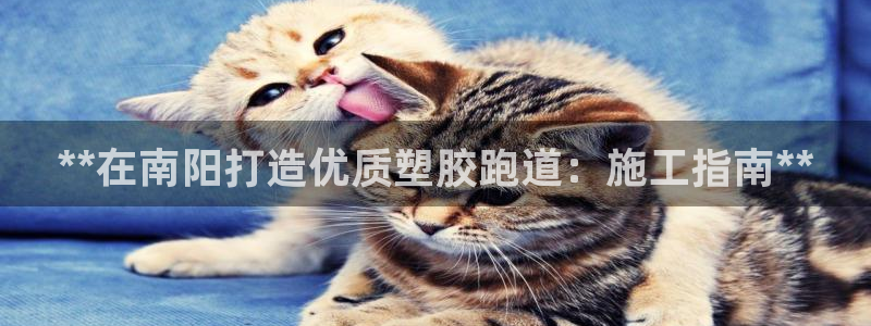 尊龙官方网址：**在南阳打造优质塑胶跑道：施工指南**