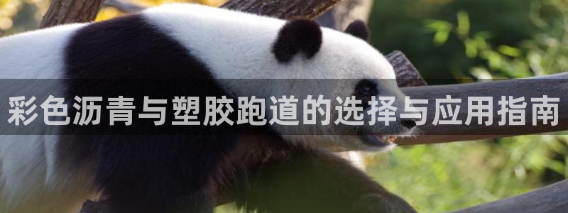 凯时尊龙app国际官方网站：彩色沥青与塑胶跑道的选择