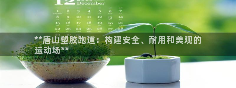 尊龙凯时 人生就是搏 平台