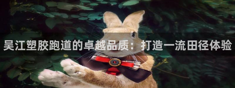 尊龙d88手机登录免费下载：吴江塑胶跑道的卓越品质：打造一流田径体验