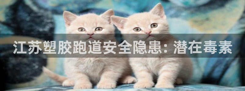 尊龙-人生就是博!：江苏塑胶跑道安全隐患: 潜在毒素
