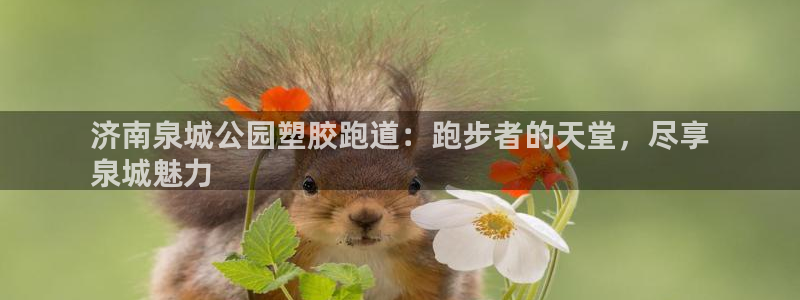 尊龙ag旗舰厅官网·(中国)官方入口：济南泉城公园塑胶跑道：跑步者的天堂，尽享
泉城魅力