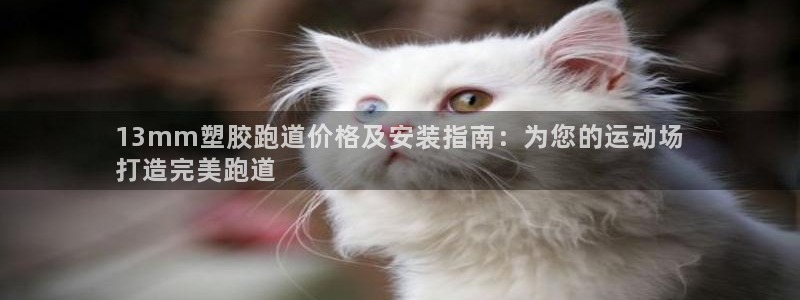尊龙公司：13mm塑胶跑道价格及安装指南：为您的运动场
打造完美跑道
