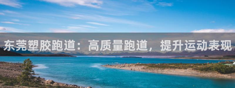 d88尊龙平台开户：东莞塑胶跑道：高质量跑道，提升运动表现