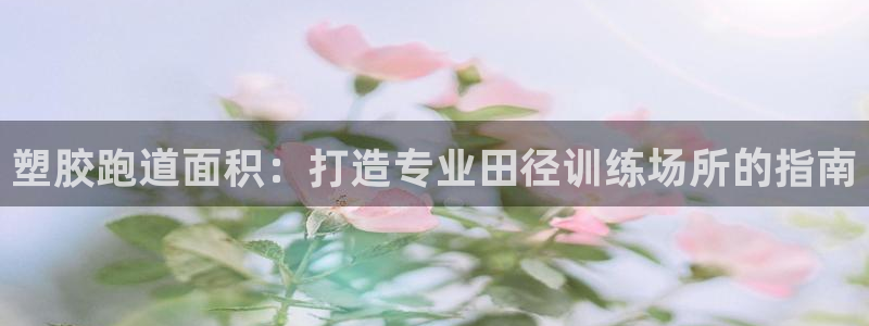 尊龙凯时官方网站：塑胶跑道面积：打造专业田径训练场所