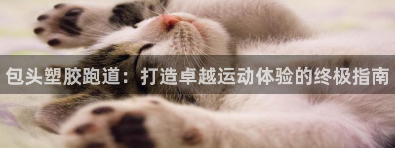 尊龙一人生就是搏：包头塑胶跑道：打造卓越运动体验的终