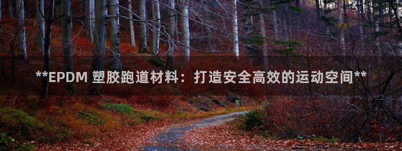 尊龙凯时集团：**EPDM 塑胶跑道材料：打造安全高效的运动空间**