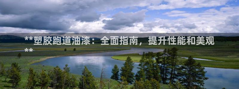 凯时国际网站域名：**塑胶跑道油漆：全面指南，提升性能和美观
**