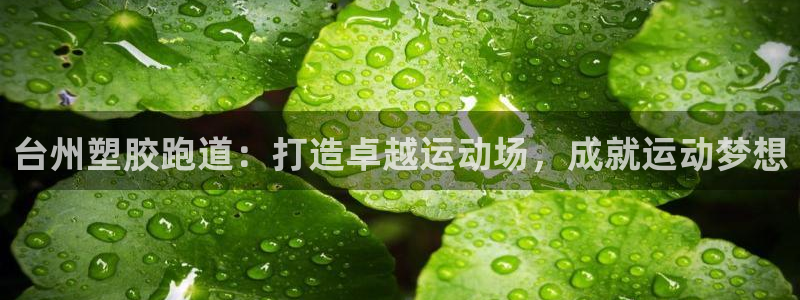 尊龙服饰有限公司地址：台州塑胶跑道：打造卓越运动场，