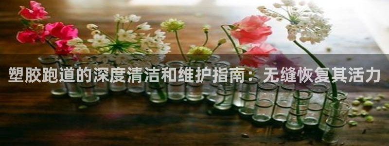 d88尊龙可靠送38元：塑胶跑道的深度清洁和维护指南：无缝恢复其活力
