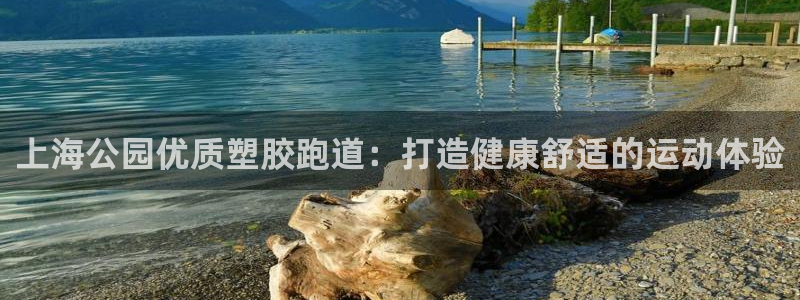 尊龙d88官网准认来就送38：上海公园优质塑胶跑道：