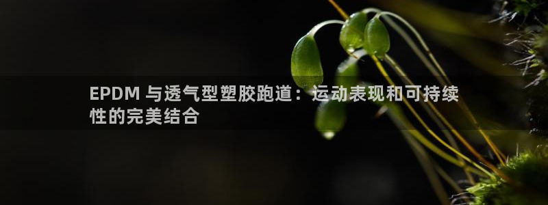 尊龙2020：EPDM 与透气型塑胶跑道：运动表现和可持续
性的完美结合