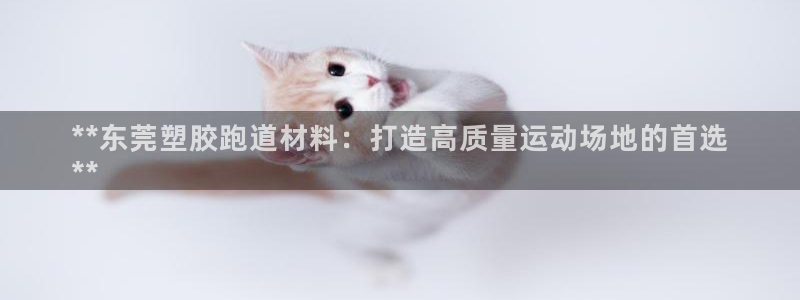 尊龙-人生就是博：**东莞塑胶跑道材料：打造高质量运动场地的首选
**