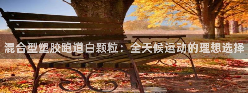 尊龙凯时z6官网：混合型塑胶跑道白颗粒：全天候运动的理想选择