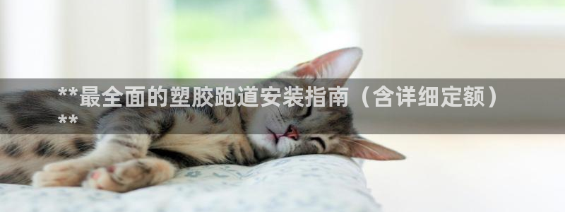尊龙网站注册站注册：**最全面的塑胶跑道安装指南（含详细定额）
**