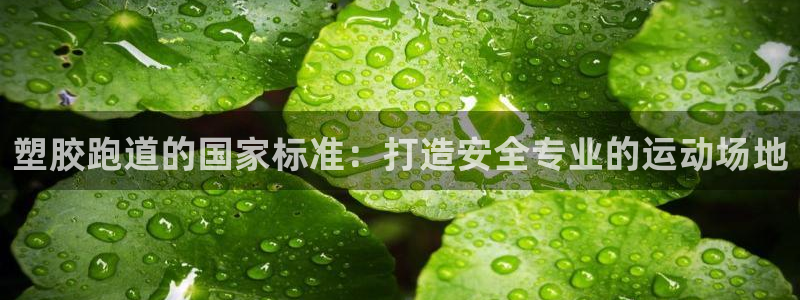 尊龙现金娱乐 下载：塑胶跑道的国家标准：打造安全专业的运动场地