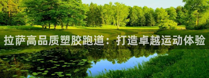凯时官网app下载官方网站：拉萨高品质塑胶跑道：打造卓越运动体验