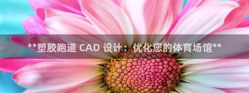尊龙饰演过的经典角色