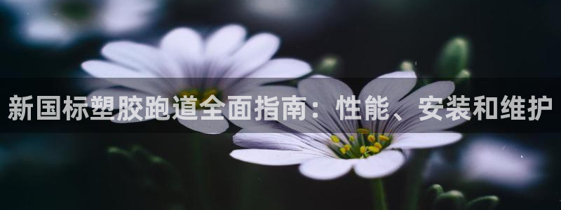 尊龙凯时电竞注册：新国标塑胶跑道全面指南：性能、安装和维护