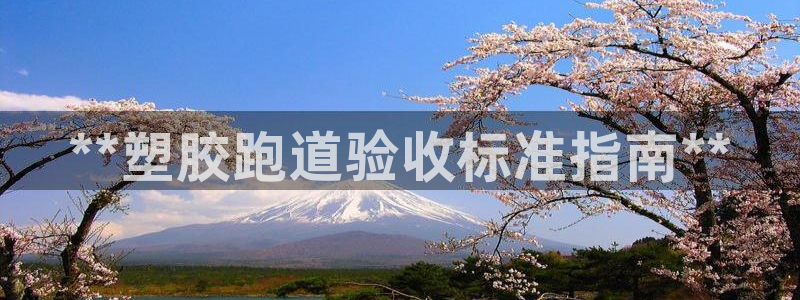 尊龙凯时官网登录入口：**塑胶跑道验收标准指南**