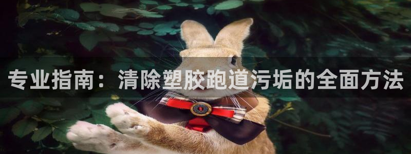 尊龙凯时人生就是搏!官网：专业指南：清除塑胶跑道污垢