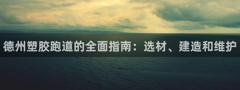 尊龙人生就是博旧版：德州塑胶跑道的全面指南：选材、建