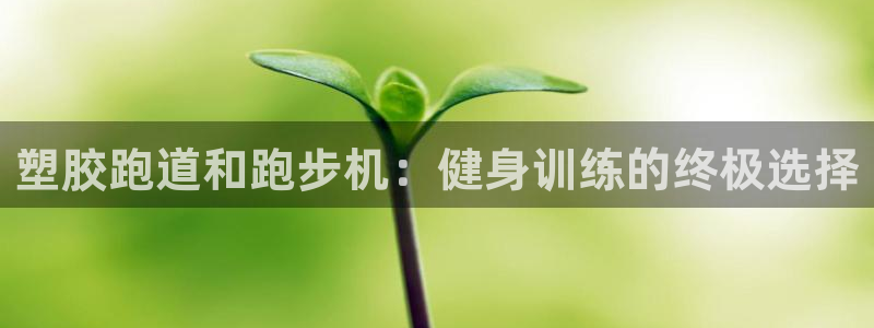 凯时ag旗舰厅登录：塑胶跑道和跑步机：健身训练的终极选择