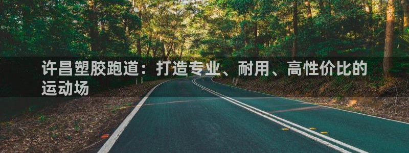尊龙t300和t400哪个好：许昌塑胶跑道：打造专业