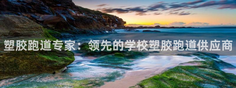 尊龙游戏官网：塑胶跑道专家：领先的学校塑胶跑道供应商