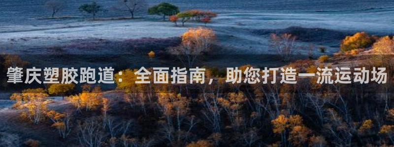 尊龙 贴吧：肇庆塑胶跑道：全面指南，助您打造一流运动场