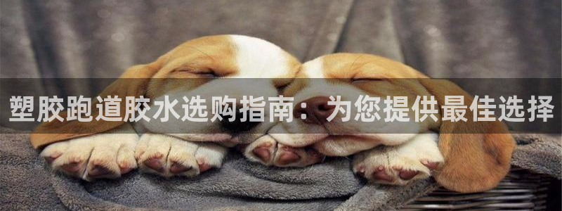 尊龙实业有限公司属于国企吗：塑胶跑道胶水选购指南：为