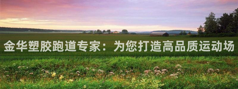 尊龙凯时 人生就是搏首页：金华塑胶跑道专家：为您打造
