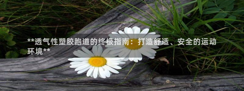 d88尊龙官方网：**透气性塑胶跑道的终极指南：打造舒适、安全的运动
环境**
