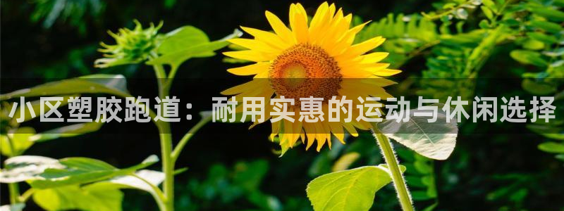 尊龙网站登录：小区塑胶跑道：耐用实惠的运动与休闲选择
