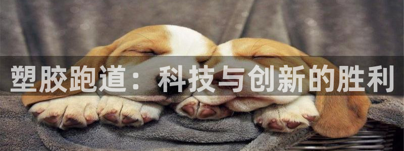 尊龙凯时 人生就是搏!：塑胶跑道：科技与创新的胜利