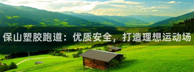 尊龙凯时app官网：保山塑胶跑道：优质安全，打造理想