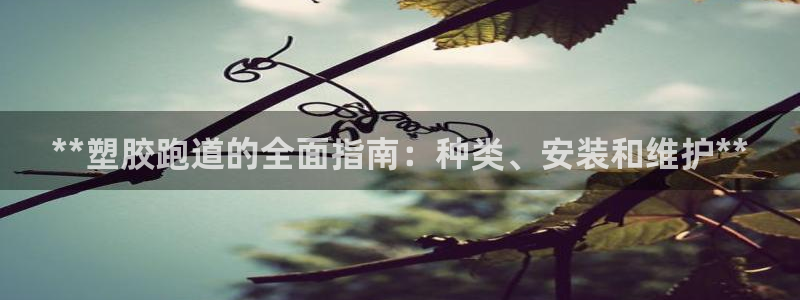 新版尊龙99：**塑胶跑道的全面指南：种类、安装和维