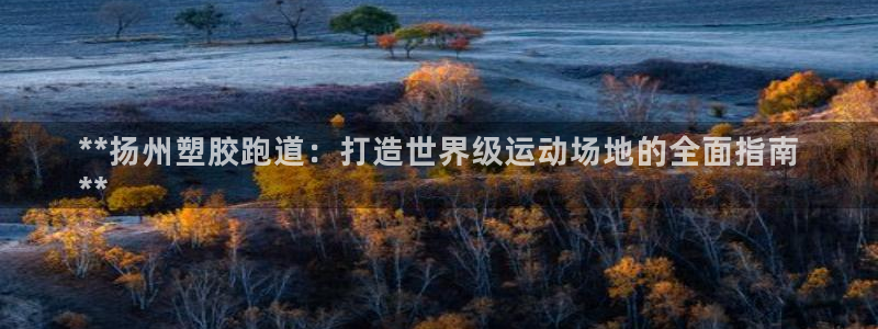 凯时国际官方版：**扬州塑胶跑道：打造世界级运动场地