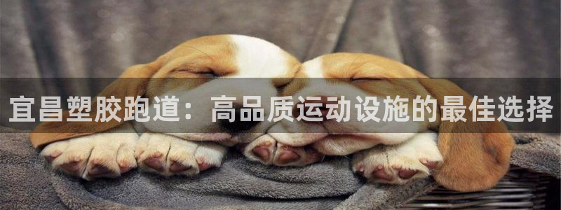 Z6尊龙官网入口
