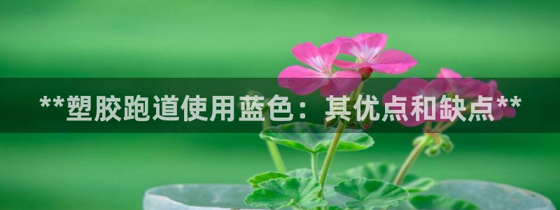 尊龙凯时老板是谁：**塑胶跑道使用蓝色：其优点和缺点**