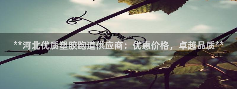 凯时平台官网RA来就送38：**河北优质塑胶跑道供应商：优惠价格，卓越品质**