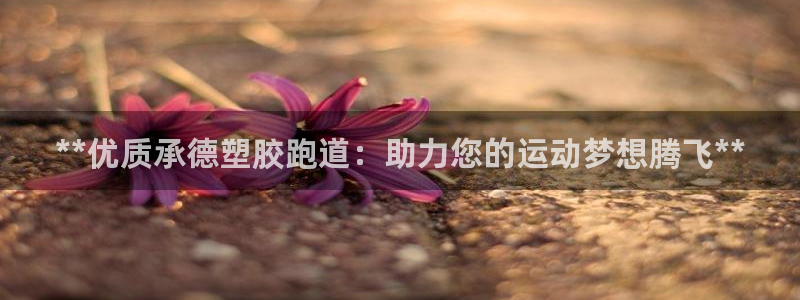 尊龙2020：**优质承德塑胶跑道：助力您的运动梦想腾飞**