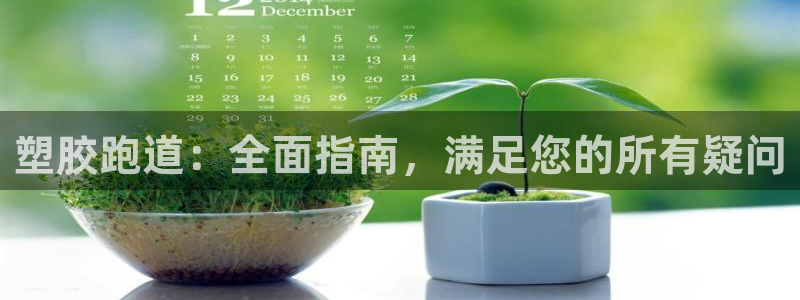 尊龙 贴吧：塑胶跑道：全面指南，满足您的所有疑问