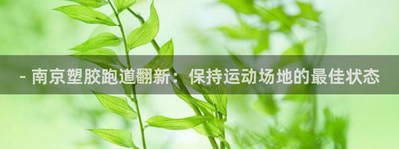 凯时平台官网RA来就送38：- 南京塑胶跑道翻新：保持运动场地的最佳状态