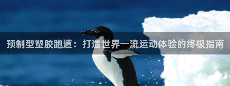 凯时app官网首页：预制型塑胶跑道：打造世界一流运动体验的终极指南