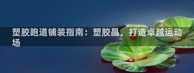 尊龙人生就是搏：塑胶跑道铺装指南：塑胶晶，打造卓越运动
场