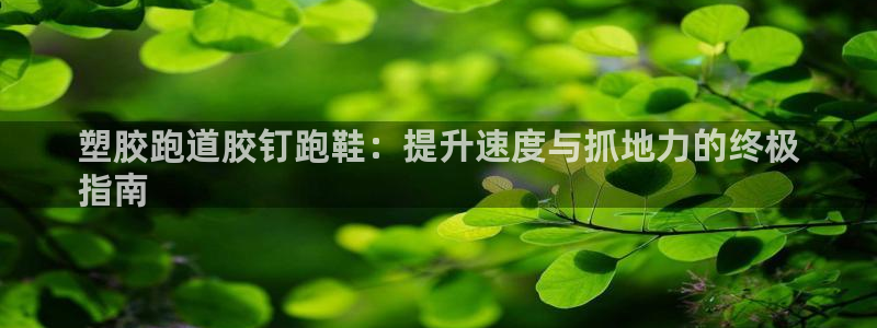 尊龙凯时人生就是搏·(中国)官网：塑胶跑道胶钉跑鞋：提升速度与抓地力的终极
指南